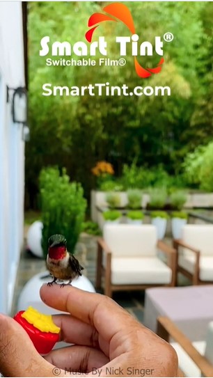 harry the hummingbird smarttint image