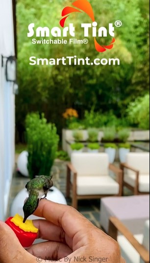 harry the hummingbird smarttint image 3